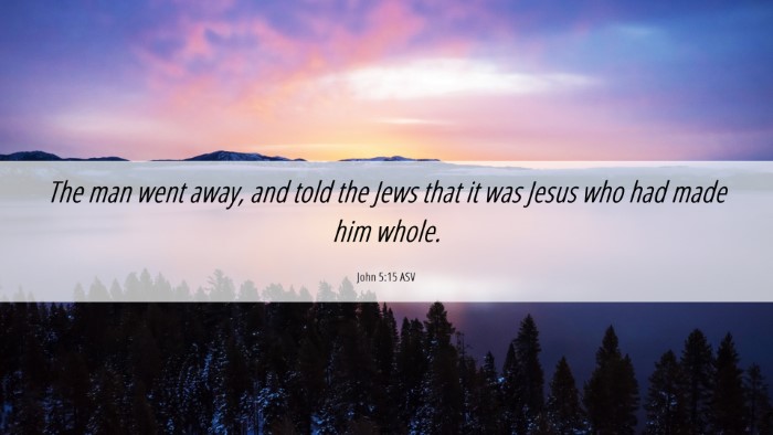 Picture 06 - John 5:15 ASV Desktop Wallpaper - The man went away, and told the Jews that it was - Desktop Bible Verse Wallpaper