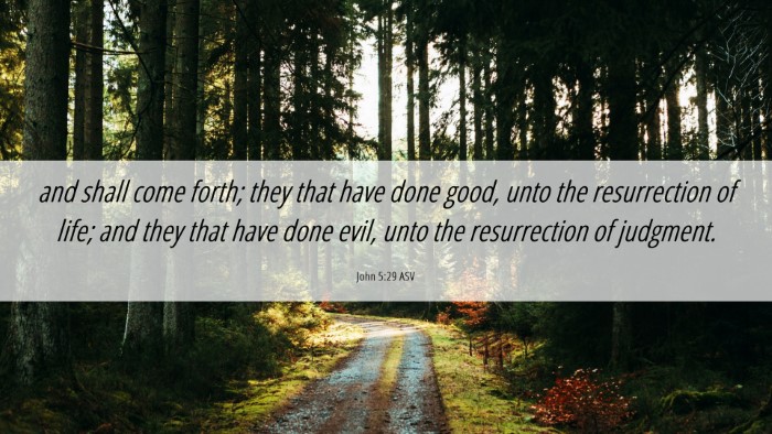 Picture 06 - John 5:29 ASV Desktop Wallpaper - and shall come forth; they that have done good, - Desktop Bible Verse Wallpaper