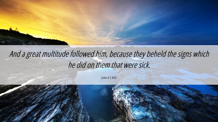 Picture 06 - John 6:2 ASV Desktop Wallpaper - And a great multitude followed him, because they - Desktop Bible Verse Wallpaper