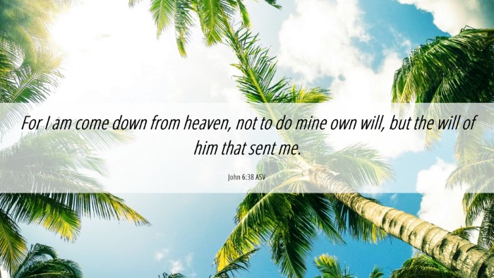 Picture 06 - John 6:38 ASV Desktop Wallpaper - For I am come down from heaven, not to do mine - Desktop Bible Verse Wallpaper