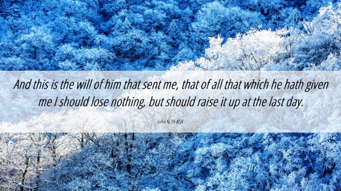 Picture 06 - John 6:39 ASV Desktop Wallpaper - And this is the will of him that sent me, that of - Desktop Bible Verse Wallpaper