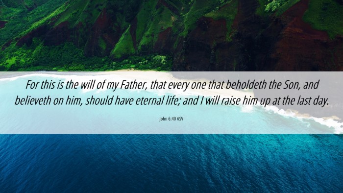 Picture 06 - John 6:40 ASV Desktop Wallpaper - For this is the will of my Father, that every one - Desktop Bible Verse Wallpaper