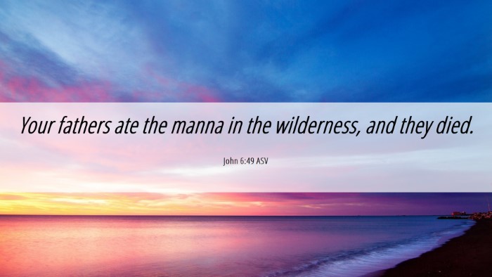 Picture 06 - John 6:49 ASV Desktop Wallpaper - Your fathers ate the manna in the wilderness, and - Desktop Bible Verse Wallpaper