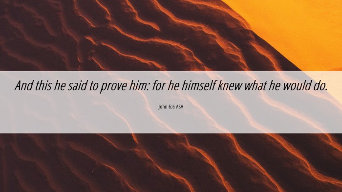 Picture 06 - John 6:6 ASV Desktop Wallpaper - And this he said to prove him: for he himself - Desktop Bible Verse Wallpaper