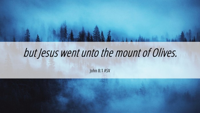 Picture 06 - John 8:1 ASV Desktop Wallpaper - but Jesus went unto the mount of - Desktop Bible Verse Wallpaper
