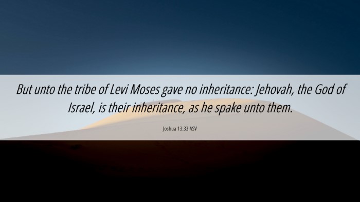 Picture 06 - Joshua 13:33 ASV Desktop Wallpaper - But unto the tribe of Levi Moses gave no - Desktop Bible Verse Wallpaper