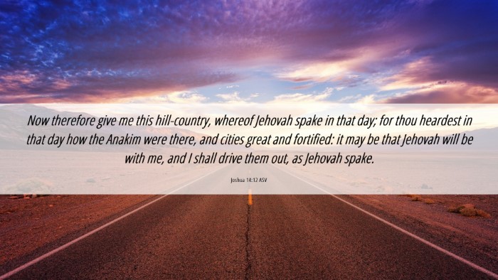 Picture 06 - Joshua 14:12 ASV Desktop Wallpaper - Now therefore give me this hill-country, whereof - Desktop Bible Verse Wallpaper