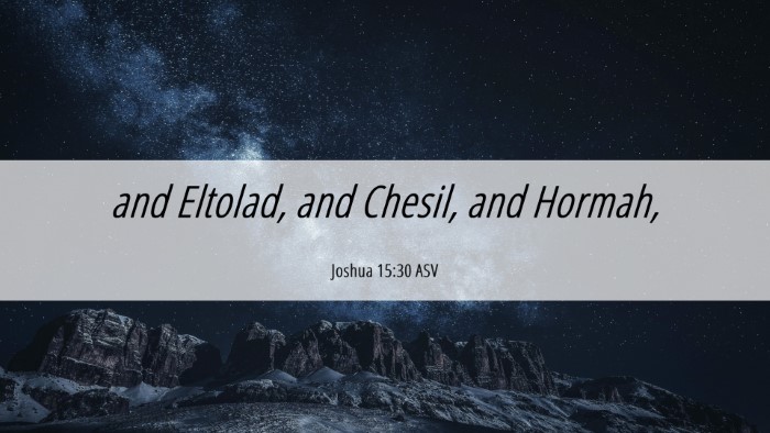 Picture 06 - Joshua 15:30 ASV Desktop Wallpaper - and Eltolad, and Chesil, and - Desktop Bible Verse Wallpaper