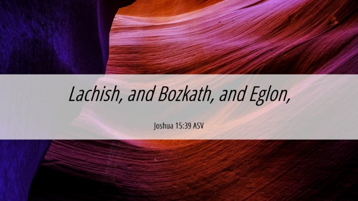 Picture 06 - Joshua 15:39 ASV Desktop Wallpaper - Lachish, and Bozkath, and - Desktop Bible Verse Wallpaper