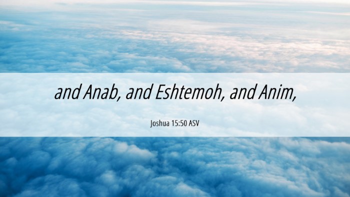 Picture 06 - Joshua 15:50 ASV Desktop Wallpaper - and Anab, and Eshtemoh, and - Desktop Bible Verse Wallpaper
