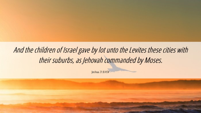 Picture 06 - Joshua 21:8 ASV Desktop Wallpaper - And the children of Israel gave by lot unto the - Desktop Bible Verse Wallpaper