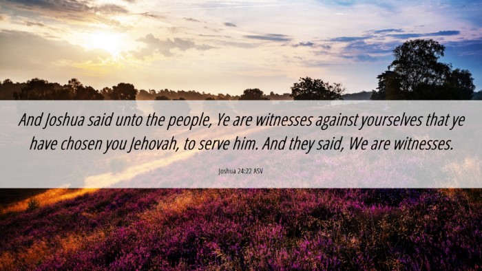 Picture 06 - Joshua 24:22 ASV Desktop Wallpaper - And Joshua said unto the people, Ye are witnesses - Desktop Bible Verse Wallpaper