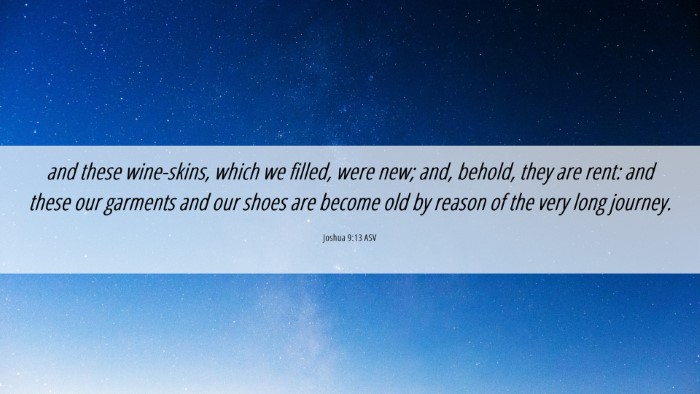 Picture 06 - Joshua 9:13 ASV Desktop Wallpaper - and these wine-skins, which we filled, were new; - Desktop Bible Verse Wallpaper