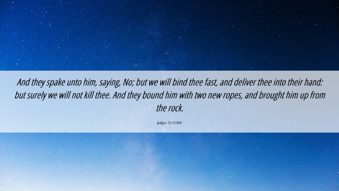 Picture 06 - Judges 15:13 ASV Desktop Wallpaper - And they spake unto him, saying, No; but we will - Desktop Bible Verse Wallpaper
