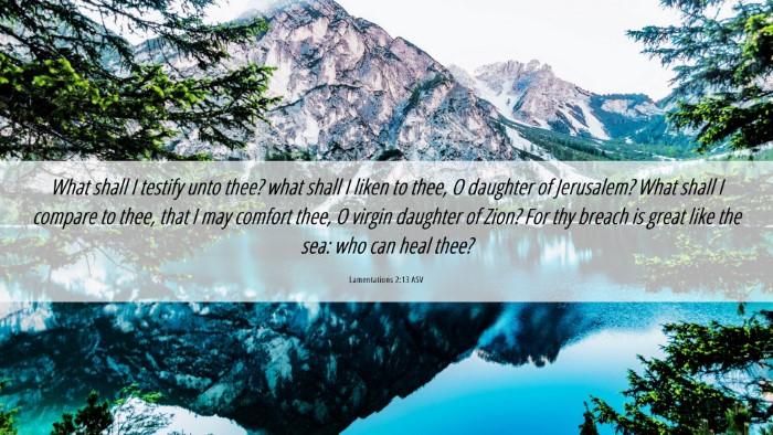 Picture 06 - Lamentations 2:13 ASV Desktop Wallpaper - What shall I testify unto thee? what shall I - Desktop Bible Verse Wallpaper
