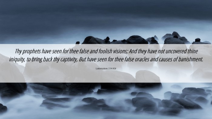 Picture 06 - Lamentations 2:14 ASV Desktop Wallpaper - Thy prophets have seen for thee false and foolish - Desktop Bible Verse Wallpaper
