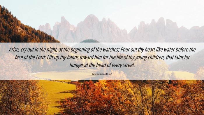 Picture 06 - Lamentations 2:19 ASV Desktop Wallpaper - Arise, cry out in the night, at the beginning of - Desktop Bible Verse Wallpaper