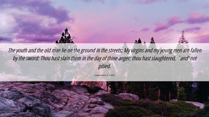 Picture 06 - Lamentations 2:21 ASV Desktop Wallpaper - The youth and the old man lie on the ground in - Desktop Bible Verse Wallpaper