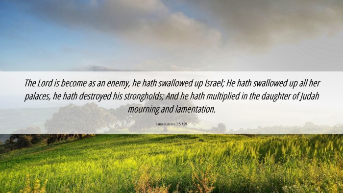 Picture 06 - Lamentations 2:5 ASV Desktop Wallpaper - The Lord is become as an enemy, he hath swallowed - Desktop Bible Verse Wallpaper