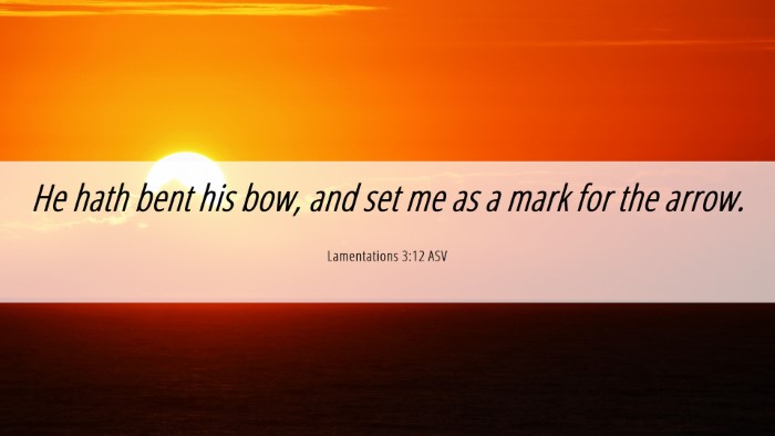 Picture 06 - Lamentations 3:12 ASV Desktop Wallpaper - He hath bent his bow, and set me as a mark for - Desktop Bible Verse Wallpaper