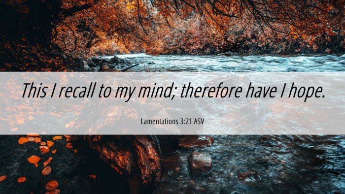 Picture 06 - Lamentations 3:21 ASV Desktop Wallpaper - This I recall to my mind; therefore have I - Desktop Bible Verse Wallpaper