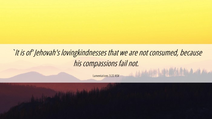 Picture 06 - Lamentations 3:22 ASV Desktop Wallpaper - `It is of' Jehovah's lovingkindnesses that we are - Desktop Bible Verse Wallpaper