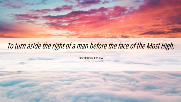 Picture 06 - Lamentations 3:35 ASV Desktop Wallpaper - To turn aside the right of a man before the face - Desktop Bible Verse Wallpaper