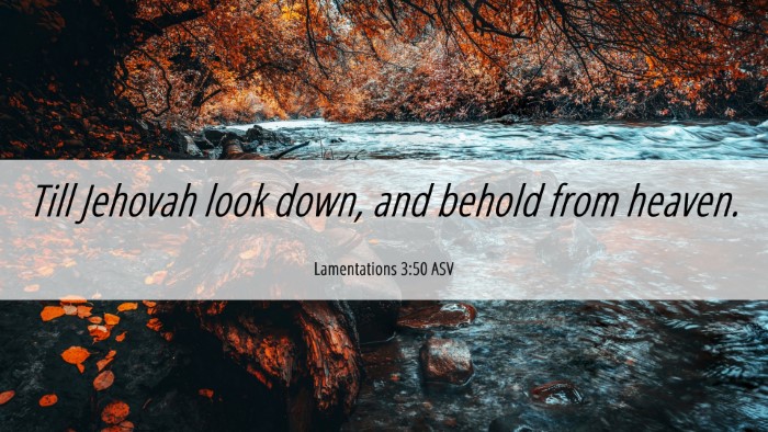 Picture 06 - Lamentations 3:50 ASV Desktop Wallpaper - Till Jehovah look down, and behold from - Desktop Bible Verse Wallpaper