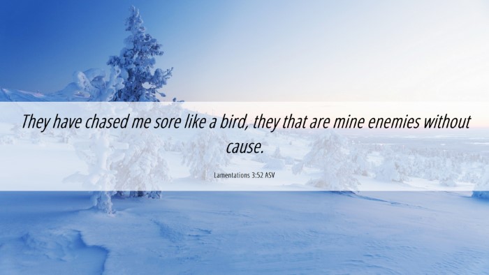 Picture 06 - Lamentations 3:52 ASV Desktop Wallpaper - They have chased me sore like a bird, they that - Desktop Bible Verse Wallpaper