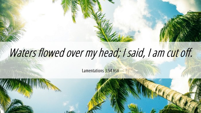 Picture 06 - Lamentations 3:54 ASV Desktop Wallpaper - Waters flowed over my head; I said, I am cut - Desktop Bible Verse Wallpaper