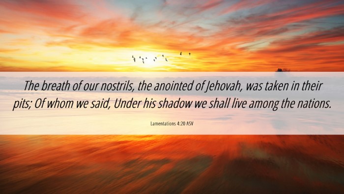 Picture 06 - Lamentations 4:20 ASV Desktop Wallpaper - The breath of our nostrils, the anointed of - Desktop Bible Verse Wallpaper
