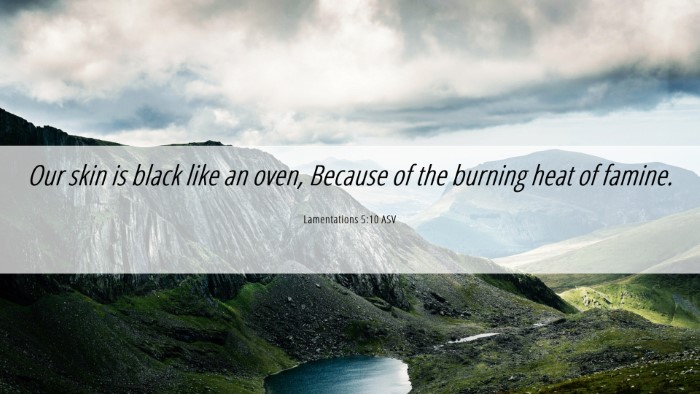 Picture 06 - Lamentations 5:10 ASV Desktop Wallpaper - Our skin is black like an oven, Because of the - Desktop Bible Verse Wallpaper