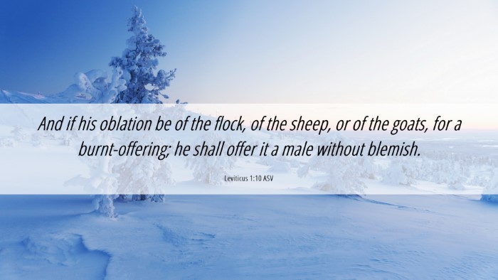 Picture 06 - Leviticus 1:10 ASV Desktop Wallpaper - And if his oblation be of the flock, of the - Desktop Bible Verse Wallpaper