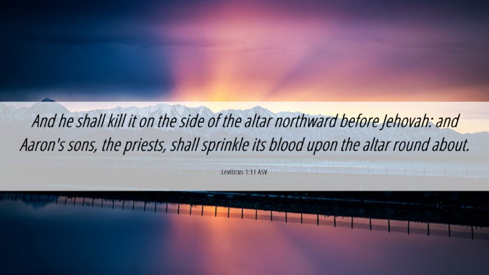 Picture 06 - Leviticus 1:11 ASV Desktop Wallpaper - And he shall kill it on the side of the altar - Desktop Bible Verse Wallpaper