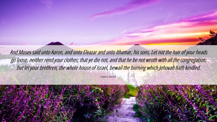 Picture 06 - Leviticus 10:6 ASV Desktop Wallpaper - And Moses said unto Aaron, and unto Eleazar and - Desktop Bible Verse Wallpaper