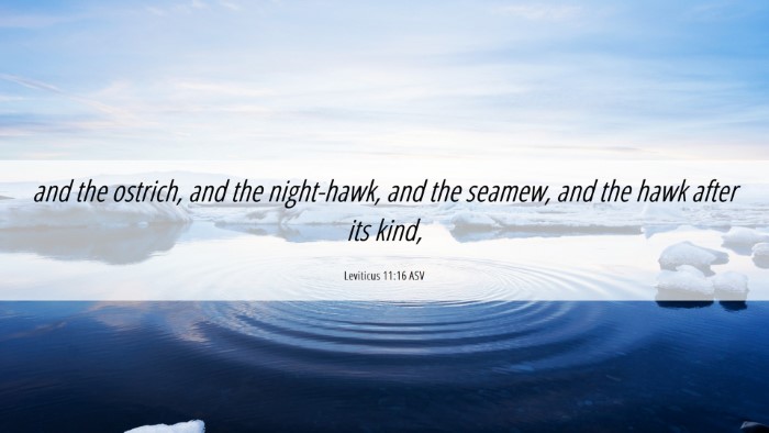 Picture 06 - Leviticus 11:16 ASV Desktop Wallpaper - and the ostrich, and the night-hawk, and the - Desktop Bible Verse Wallpaper