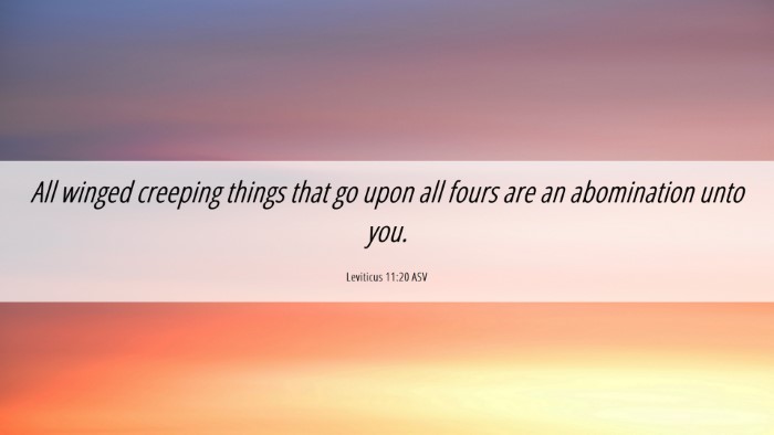 Picture 06 - Leviticus 11:20 ASV Desktop Wallpaper - All winged creeping things that go upon all fours - Desktop Bible Verse Wallpaper