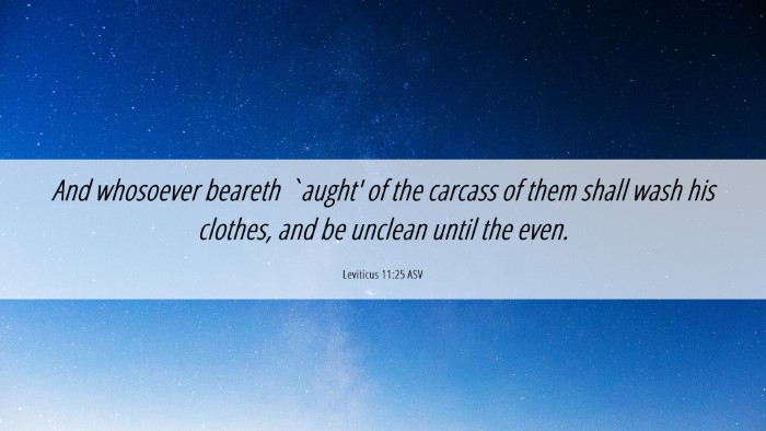 Picture 06 - Leviticus 11:25 ASV Desktop Wallpaper - And whosoever beareth `aught' of the carcass of - Desktop Bible Verse Wallpaper