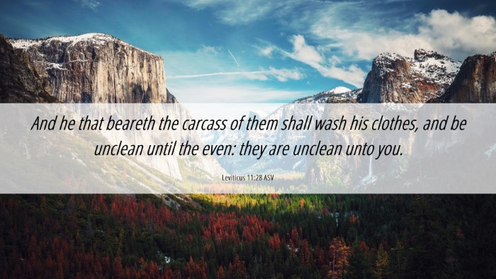 Picture 06 - Leviticus 11:28 ASV Desktop Wallpaper - And he that beareth the carcass of them shall - Desktop Bible Verse Wallpaper