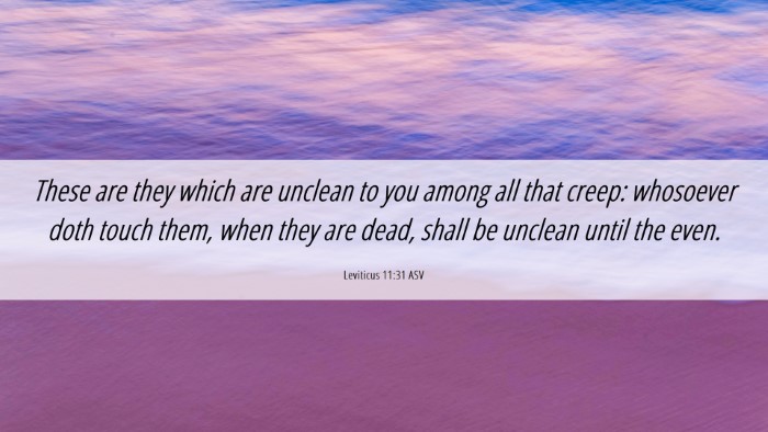 Picture 06 - Leviticus 11:31 ASV Desktop Wallpaper - These are they which are unclean to you among all - Desktop Bible Verse Wallpaper