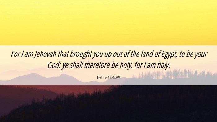 Picture 06 - Leviticus 11:45 ASV Desktop Wallpaper - For I am Jehovah that brought you up out of the - Desktop Bible Verse Wallpaper