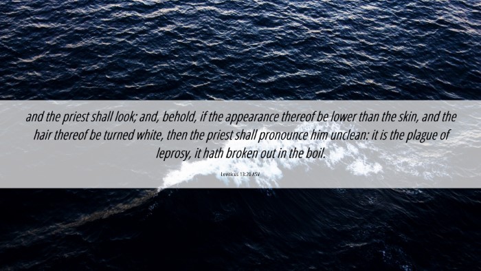 Picture 06 - Leviticus 13:20 ASV Desktop Wallpaper - and the priest shall look; and, behold, if the - Desktop Bible Verse Wallpaper
