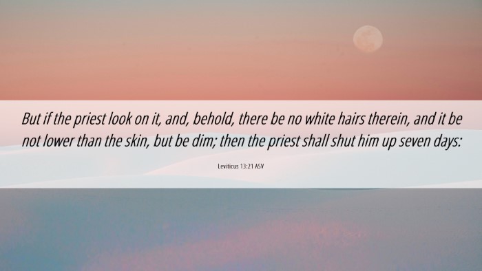 Picture 06 - Leviticus 13:21 ASV Desktop Wallpaper - But if the priest look on it, and, behold, there - Desktop Bible Verse Wallpaper