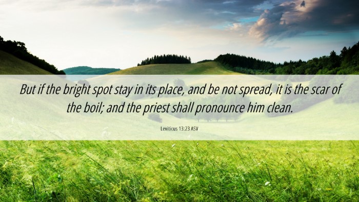 Picture 06 - Leviticus 13:23 ASV Desktop Wallpaper - But if the bright spot stay in its place, and be - Desktop Bible Verse Wallpaper