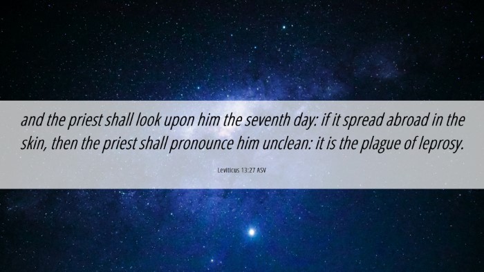 Picture 06 - Leviticus 13:27 ASV Desktop Wallpaper - and the priest shall look upon him the seventh - Desktop Bible Verse Wallpaper