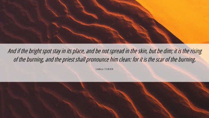 Picture 06 - Leviticus 13:28 ASV Desktop Wallpaper - And if the bright spot stay in its place, and be - Desktop Bible Verse Wallpaper