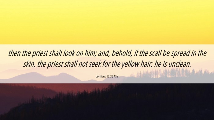 Picture 06 - Leviticus 13:36 ASV Desktop Wallpaper - then the priest shall look on him; and, behold, - Desktop Bible Verse Wallpaper