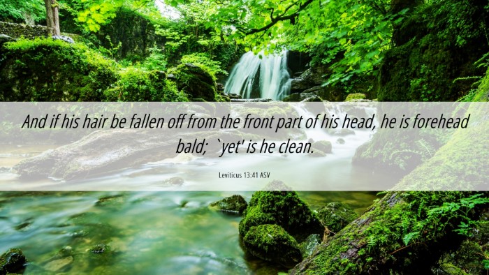Picture 06 - Leviticus 13:41 ASV Desktop Wallpaper - And if his hair be fallen off from the front part - Desktop Bible Verse Wallpaper