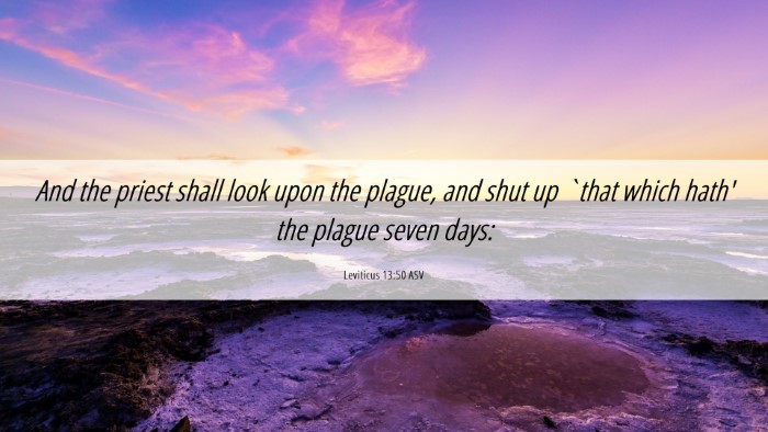 Picture 06 - Leviticus 13:50 ASV Desktop Wallpaper - And the priest shall look upon the plague, and - Desktop Bible Verse Wallpaper