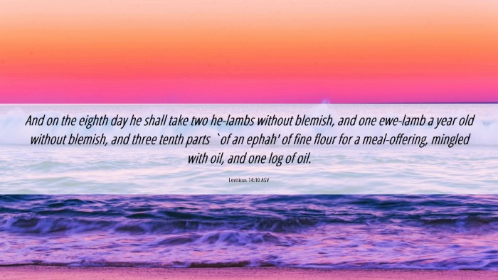 Picture 06 - Leviticus 14:10 ASV Desktop Wallpaper - And on the eighth day he shall take two he-lambs - Desktop Bible Verse Wallpaper